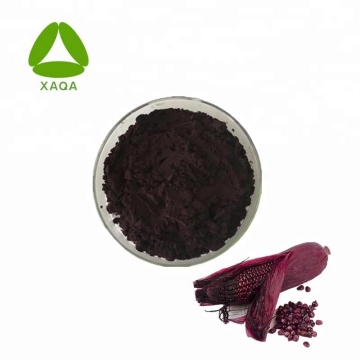 Purple Corn Extract Anthocyanidins 20% Powder Price