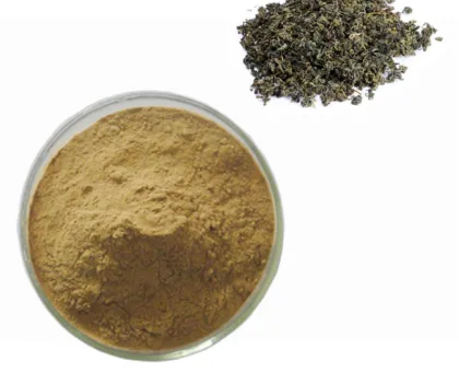 Supplement 98% Jiaogulan Gynostemma Pentaphyllum Extract