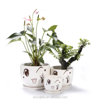 Ceramic Smiley Face Flower Pot Sets