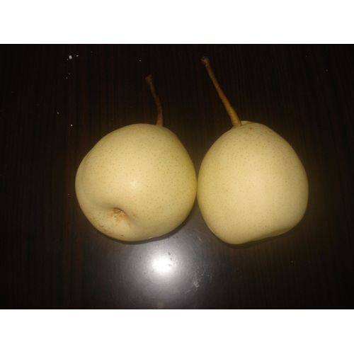 Fresh Botou Ya Pear