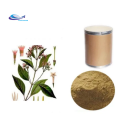 supply Freeze dried Aloe vera extract powder