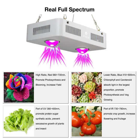 Panda Factory supply 2017 wholesale 300w led grow light for plant