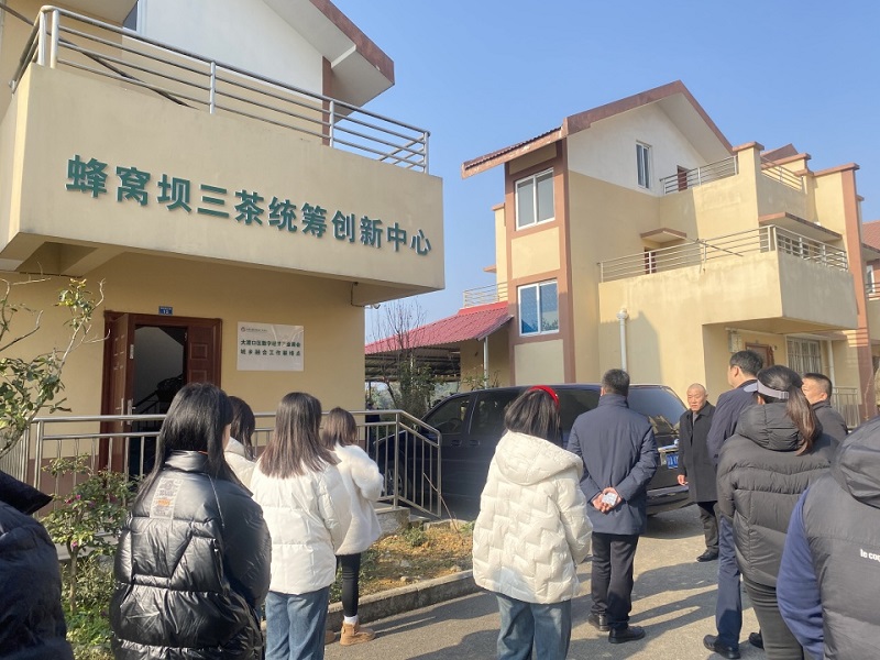 Jinyu International Trade Embraces Social Responsibility and Deeply Participates in Rural Revitalization Road Construction Projects