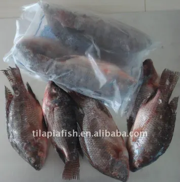 Grade A Gutted Scaled Bream Fish