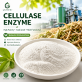 Enzima celulasa para procesamiento de alimentos por hidrólisis de celulosa, biomasa