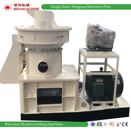 Biomass Fuel: Rice Husk, Grass, Sawdust, and Wood Pellets