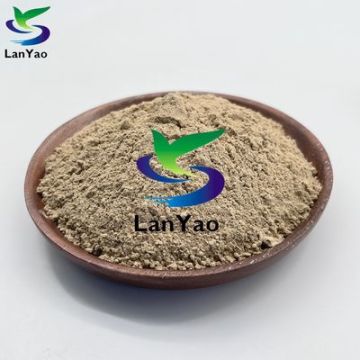 하수 처리 및 슬러지 제거를위한 바이오 박테리아