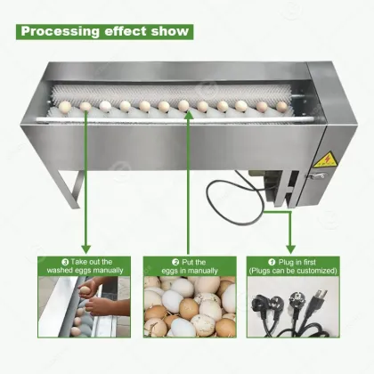 New Type Duck Egg Cleaning Machine for Small Farms