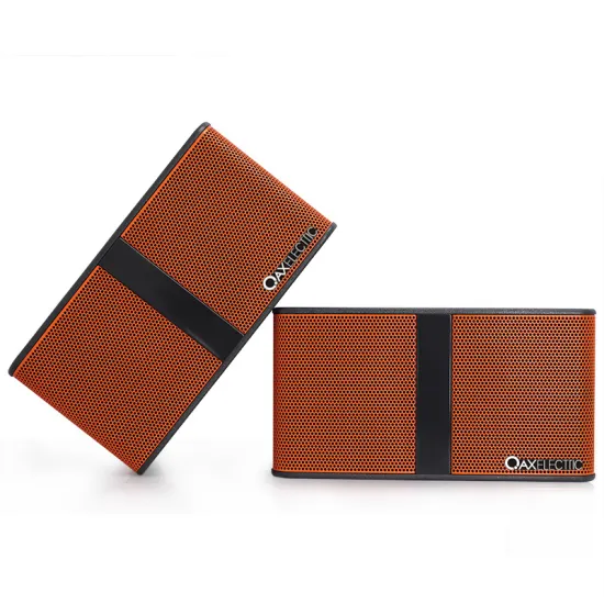 China professional speaker, professional concert speakers