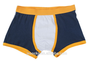 lingerie underpants