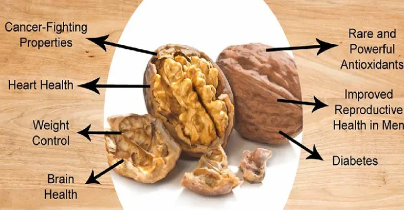 Walnut Extract purchase