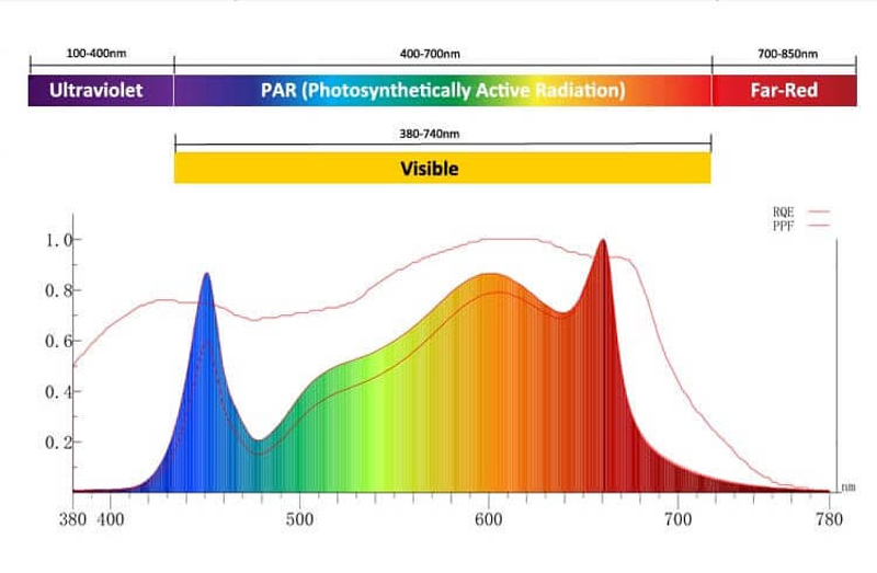 full spectrum led grow light