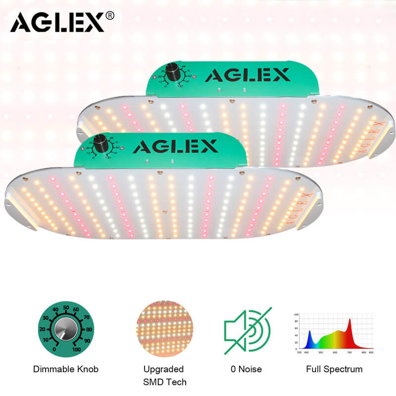 Système de lumière de 1000W efficace de 1000W à LED Spectrum complet