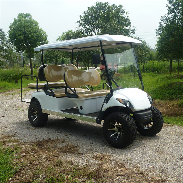 Fancy Golf Carts