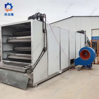Rice and fruit mesh belt dryer