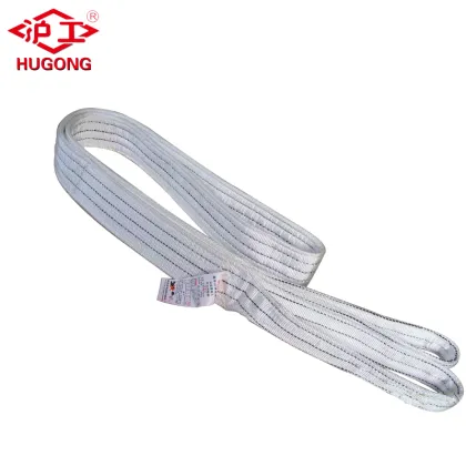 Hugo Synthetic Industrial Rigging crane Lifting Belt