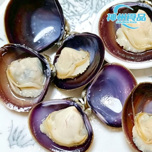 Schnell gefrorenes, zartes Flussmuschelfleisch