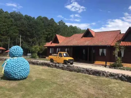 Electric pickup with eec