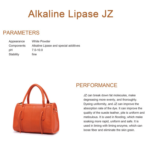 Sunson alkaline lipase jz สำหรับการทำหนัง