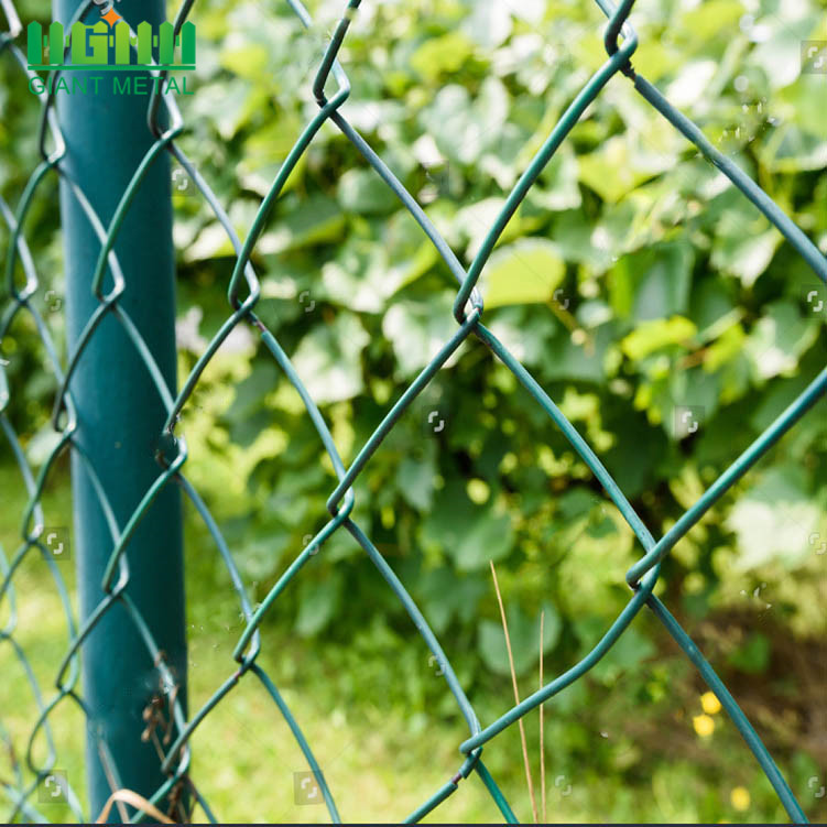 PVC Coated Galvanized Chain Link Wire Mesh Used Chain Link Fence