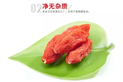 Dried red goji berry