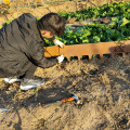 Corten Steel Garden Edging flower bed For Landscaping