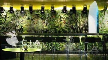 Office Interior Exterior Plant Wall Decoration