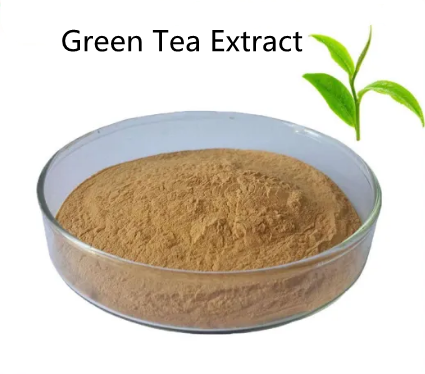 Green Tea Extract