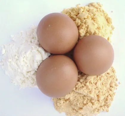 whole egg powder dried organic powdered egg products