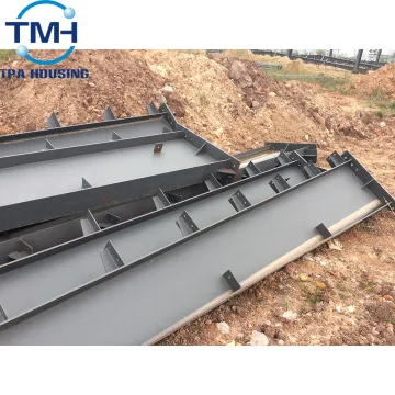 Promotional Steel Structure Buildings Workshop/Warehouse