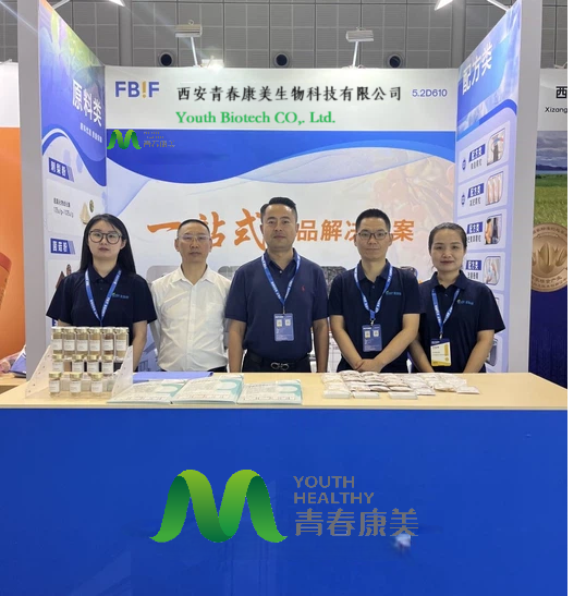 Mushroom Extract Powder