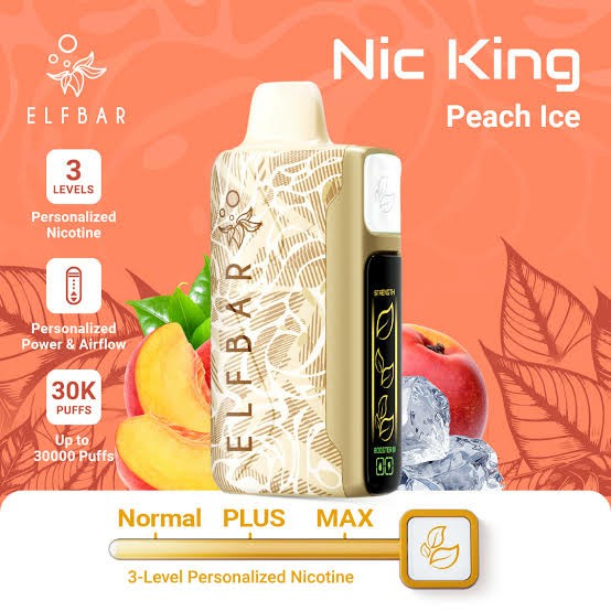 Elf Bar Nic king 30k puff Vape sekali pakai