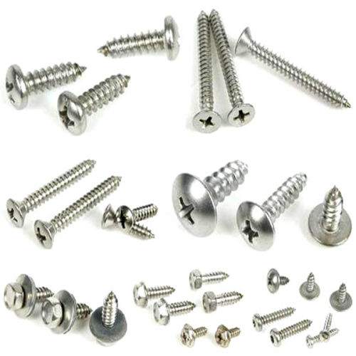 Stainless Steel Self Tapping Screw