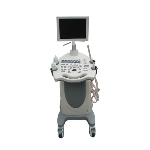 Trolley Ultrasound Machine Color Doppler Scanner