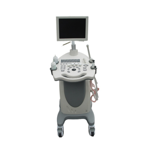 Trolley Full Digital Ultrasound Scanner Trolley Ultrasound Machine Color Doppler Scanner Factory