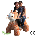 Marche animal rides