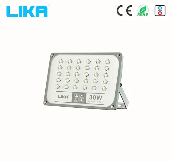 30W Hotselling Projector Outdoor Led Landscape Floodlight