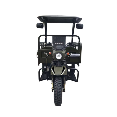High-end passenger three-wheeled motorcycle
