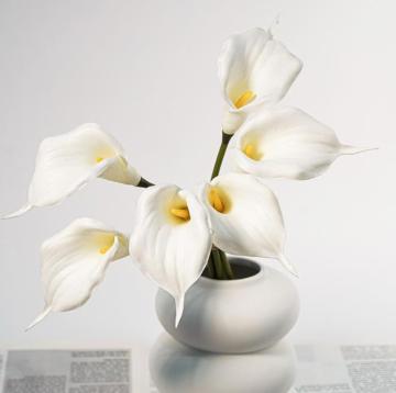 PUN HOT PU Touch Real Buatan Calla Lily Flowers Untuk Dijual