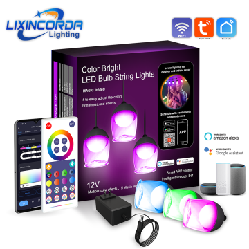Commercial Grade Waterproof Outdoor RGB S14 LED String Lights for Garden Wedding Decoration