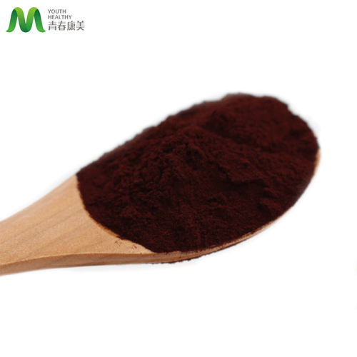 Grape Seed Extract Grape Seed Extract High Proanthocyanidin Manufactory