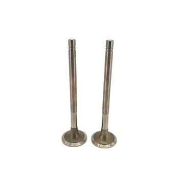 NT855 NTA855 Diesel Engine Exhaust Valve Spare Parts: 145701, 3803524
