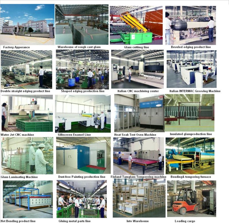 Wired Glass / Toughened Glass / En12150