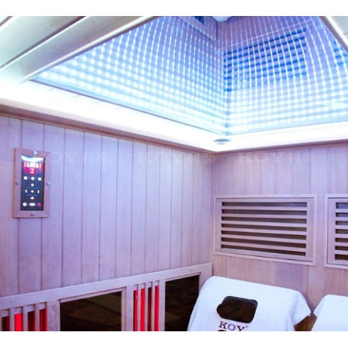 traditional sauna High quality lowest dry sauna chemical shower room Supplier