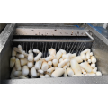 Outil de laveuse de manioc de manioc Nettoyage et peeling Machine
