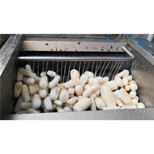 Outil de laveuse de manioc de manioc Nettoyage et peeling Machine