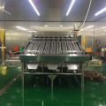 Prawn Size Sorter Grader Machine