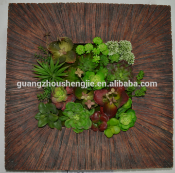 CHY040816 Artificial plants/artificial succulent plants