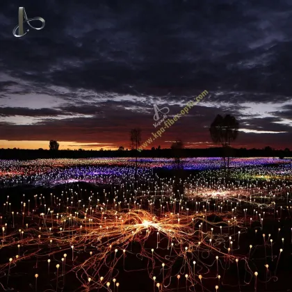 Colorful Outdoor Ball Lights: Waterproof Garden Decorative Fiber Optic Lights