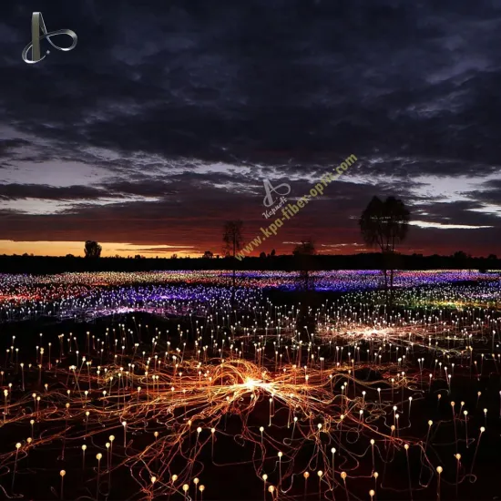 Colorful Outdoor Ball Lights: Waterproof Garden Decorative Fiber Optic Lights